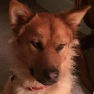 Meet your Posher, Cathy